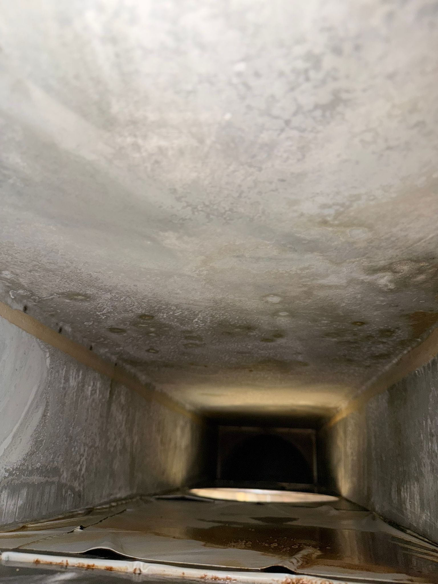 Abluftanlage nach Reinigung